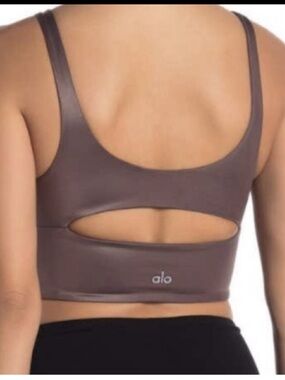 ALO Yoga | Intimates & Sleepwear | Alo Yoga High Neck Sports Bra